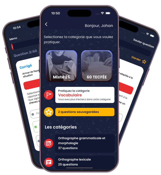 Application Pratique TECFÉE sur smartphone